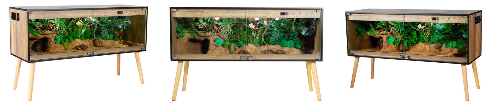 Reptile Enclosure Background