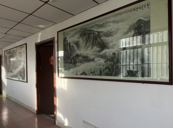 Китай ShenZhenChengSi Import&amp;Export CO.,Ltd Профиль компании
