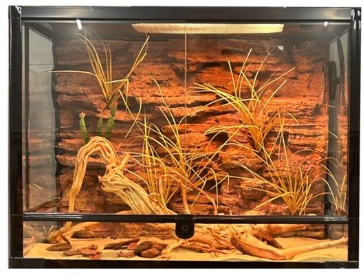 PU 3d Reptile Tank Background Customizable Easy Cleaning And Maintenance