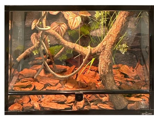 Lightweight Vivarium Rock Background PU Material Decorative Stone For Pet