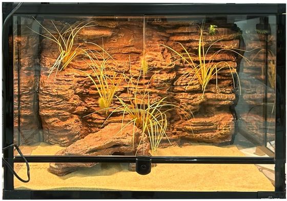 Customized Designs DIY Reptile Terrarium Background With 3D Texture SL-M42