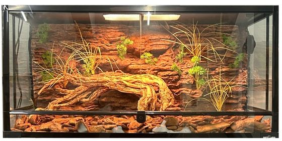 Decorative DIY Enclosure Background Customization For Natural Environment