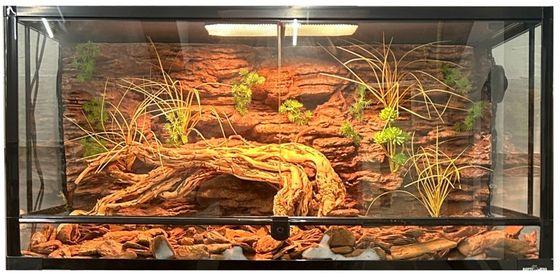Бесплатная комбинация Легкий DIY 3d Фон для Vivarium Естественная текстура SL-M50A
