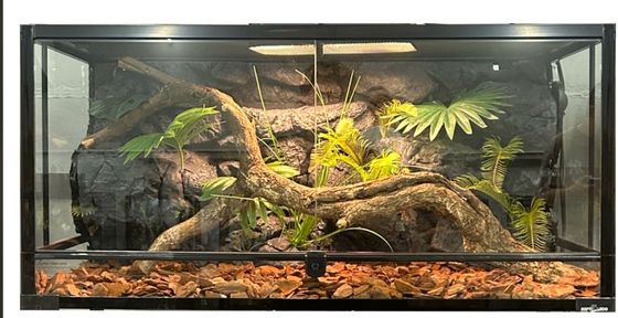 SL-M49A PU Wasserdicht Reptilien Felsen Hintergrund Einfache Reinigung und Wartung