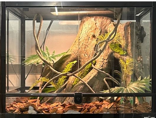 Water Retardant Terrarium Tree Stump Lightweight And Easy Installation