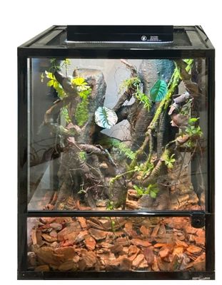 Moisture Proof Fish Tank Tree Stump Eco Friendly For Reptile Terrarium Background SL-M15