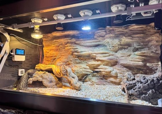 PU Material Reptile Terrarium Background Simulation Rock 3d Terrarium Background