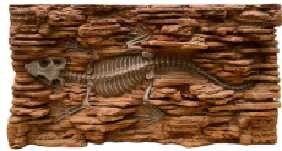 PU Simulated Terrarium Rock Background Non Toxic Moisture Resistant