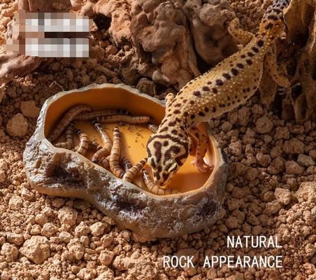 PU Material Reptile Food Bowl Dirt Resistant With Natural Look Design