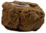 Materiale PU Simulazione Pietra Cucina per rettili per lucertole e tartarughe