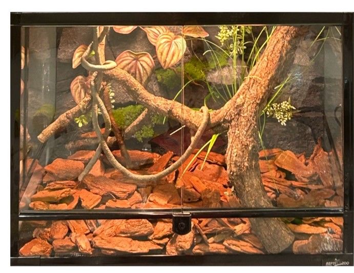 Lightweight Vivarium Rock Background PU Material Decorative Stone For Pet